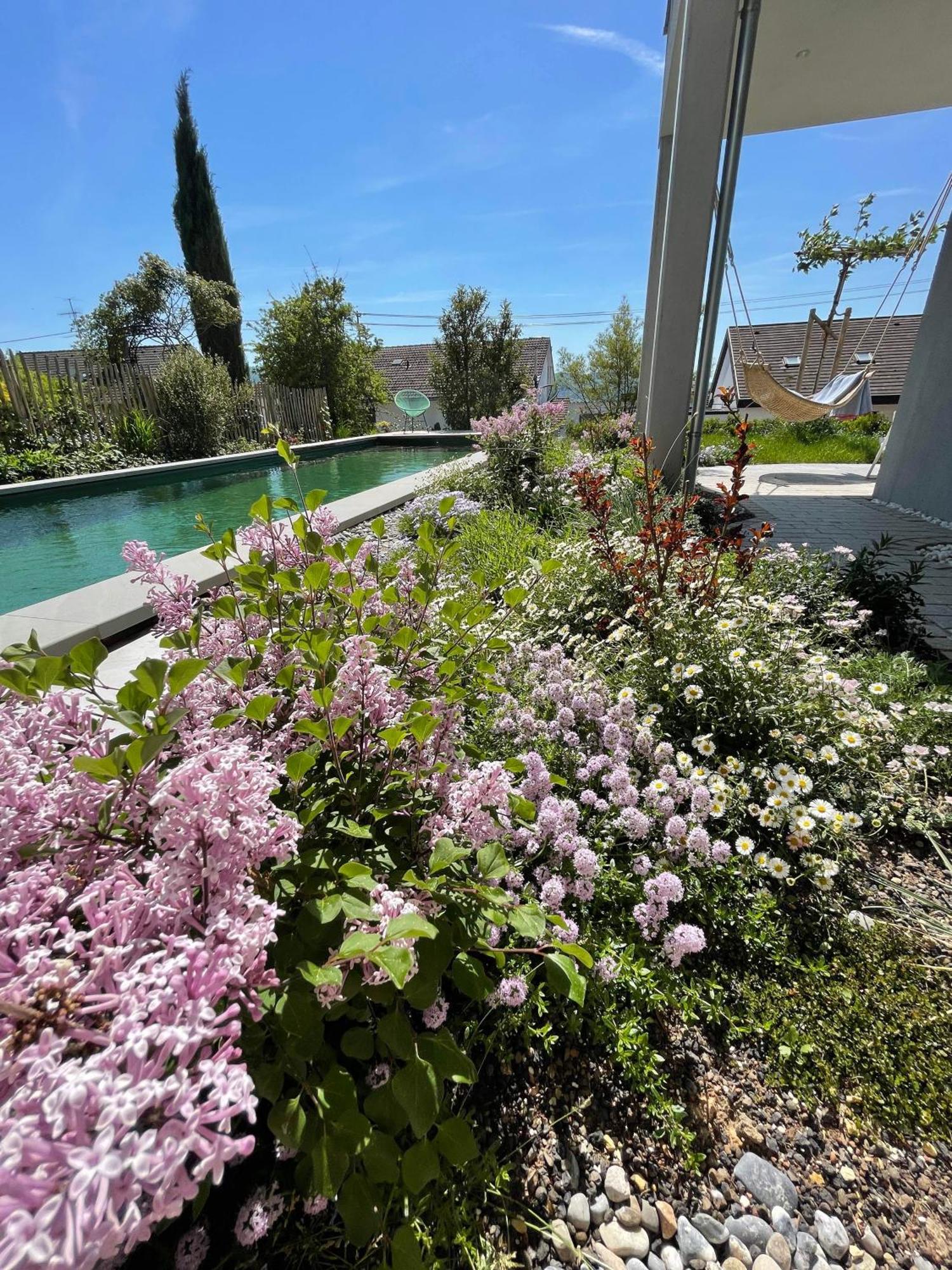 Seezeichen-Apartment No 26 Bodman-Ludwigshafen Dış mekan fotoğraf